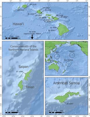 Targeted surveillance detected novel beaked whale circovirus in ten new host cetacean species across the Pacific basin